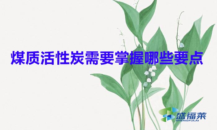 煤質(zhì)活性炭需要掌握哪些要點（煤質(zhì)活性炭使用注意事項）