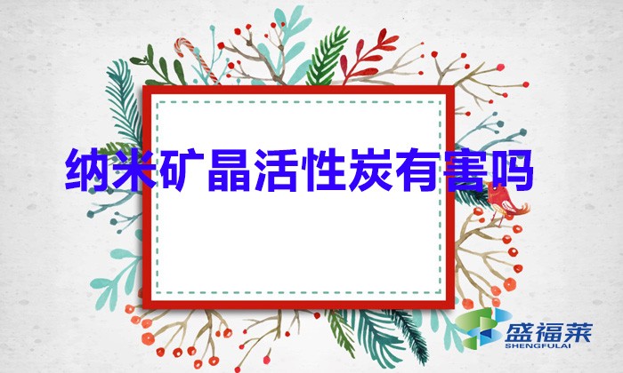 納米礦晶活性炭有害嗎