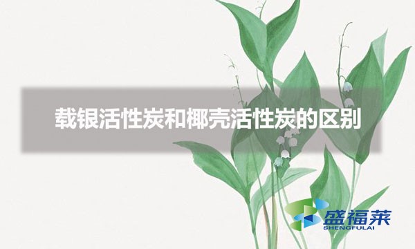 載銀活性炭和椰殼活性炭的區(qū)別（載銀活性炭與椰殼活性炭的特點(diǎn)）