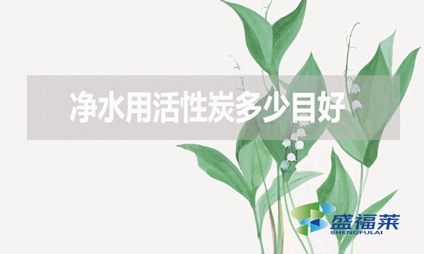 凈水用活性炭多少目好？有哪些優(yōu)缺點？