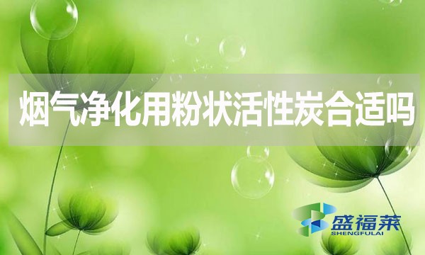 煙氣凈化用粉狀活性炭合適嗎？