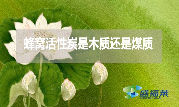 蜂窩活性炭是木質(zhì)還是煤質(zhì)？哪種好？