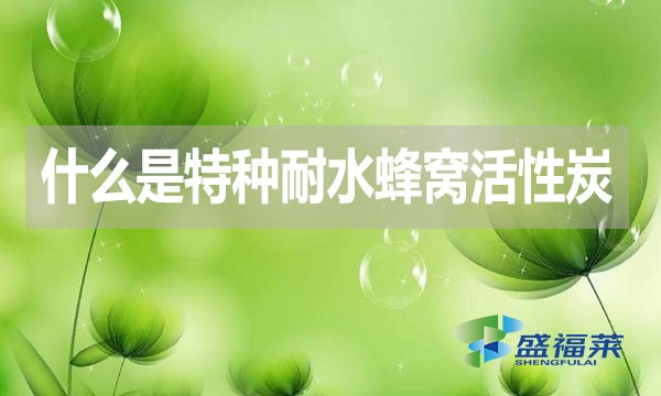 什么是特種耐水蜂窩活性炭？哪里能用到？